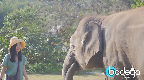 Elephant Sanctuary in Thailand